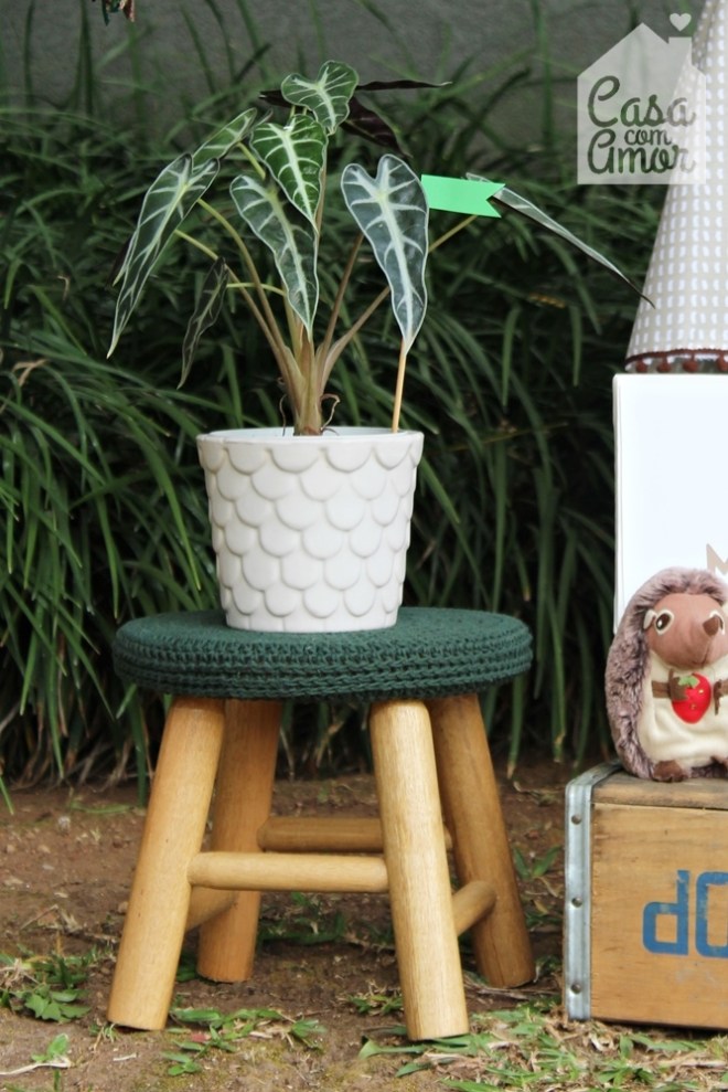 festa bichos IMG_7718