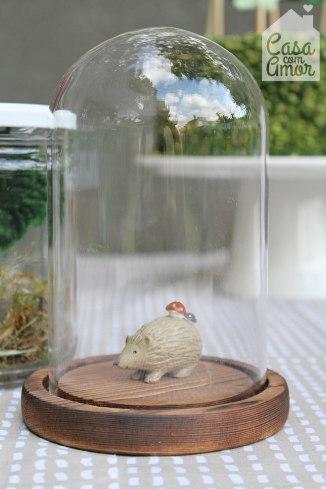 festa bichos IMG_7747