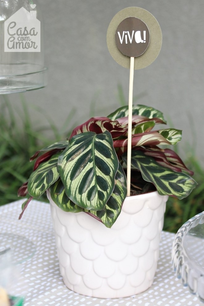 festa bichos IMG_7769