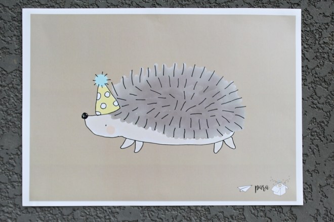 festa bichos IMG_7773