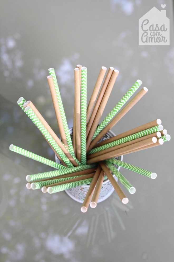 festa bichos IMG_7787